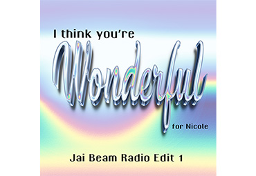 I Think You're Wonderful ( For Nicole ) radio edit